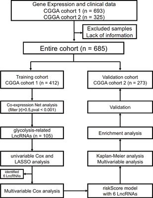 Identification of a Glycolysis-Related LncRNA Signature to Predict Survival in Diffuse Glioma Patients